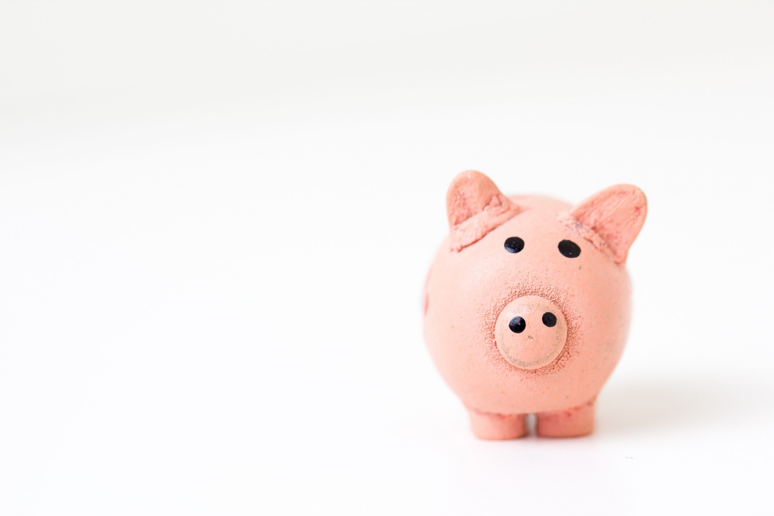 pink piggybank on white background
